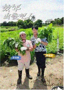 奔跑吧 水母影视